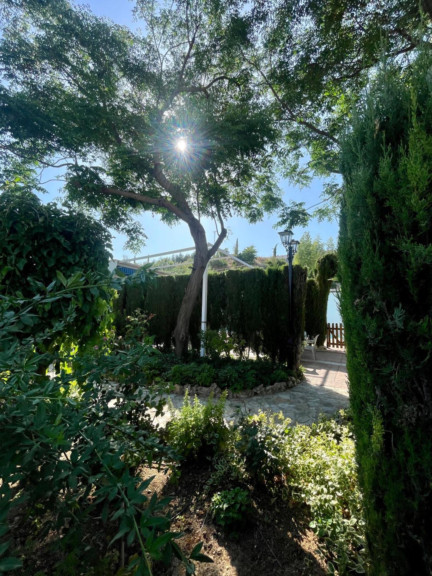 Villa Jardin Priego De Cordoba Exterior photo